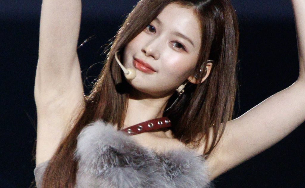 Twiceサナのワキ画像グラビア